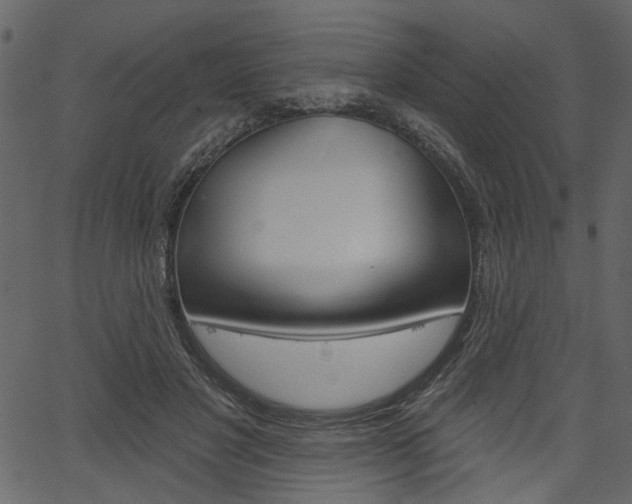 X0000067390501200603310959