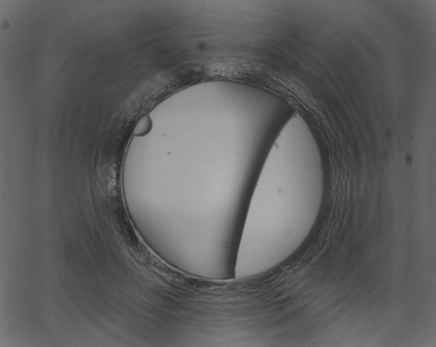 X0000067390502200603310959