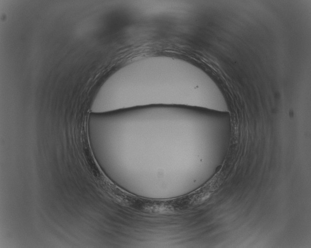 X0000067390503200603310959