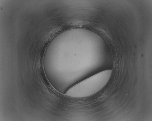 X0000067390504200603310959