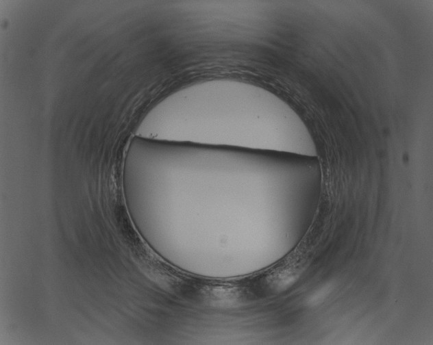 X0000067390506200603310959