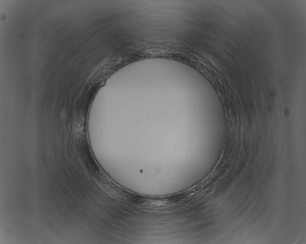 X0000067390507200603310959