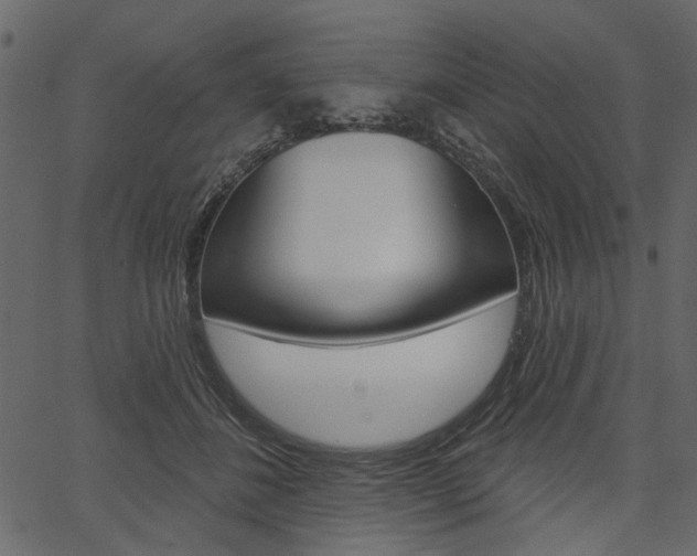 X0000067390508200603310959