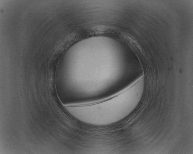 X0000067390509200603310959