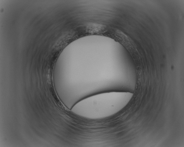 X0000067390510200603310959