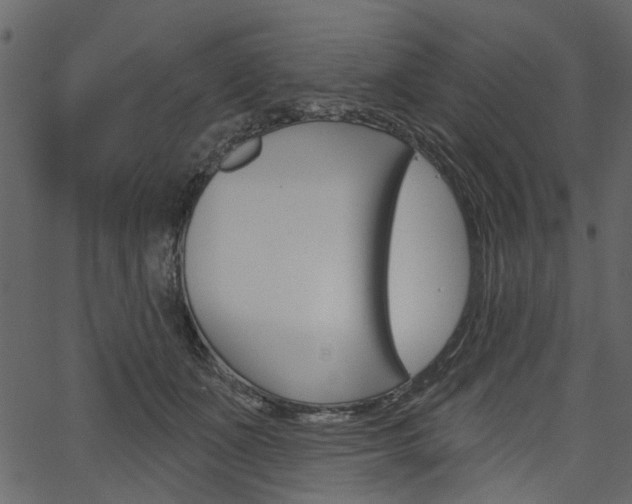 X0000067390511200603310959