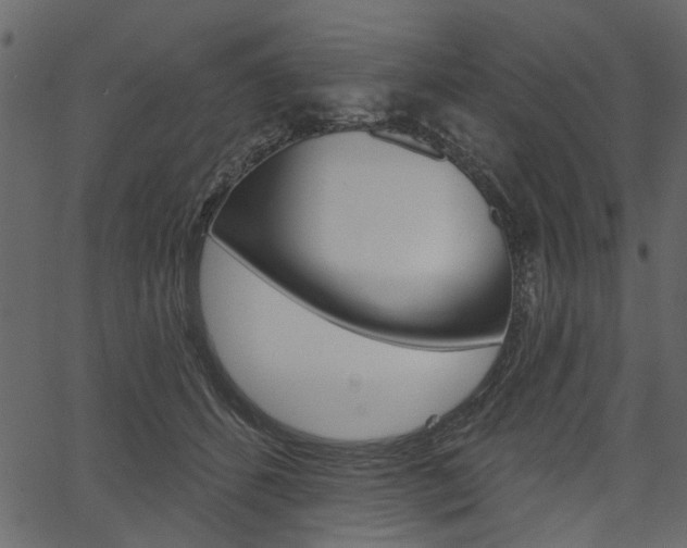 X0000067390512200603310959