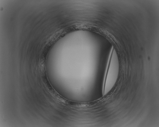 X0000067390513200603310959