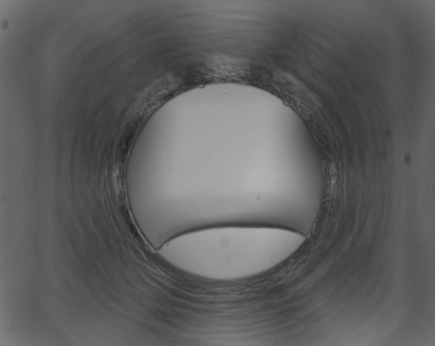 X0000067390514200603310959