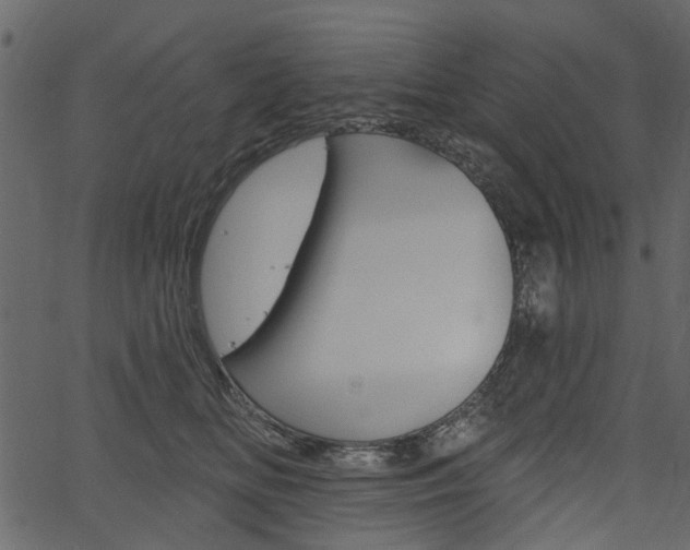 X0000067390518200603310959