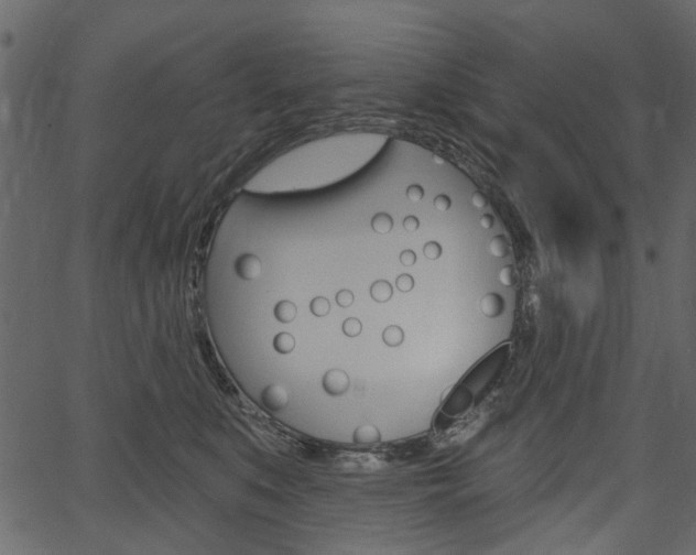 X0000067390519200603310959