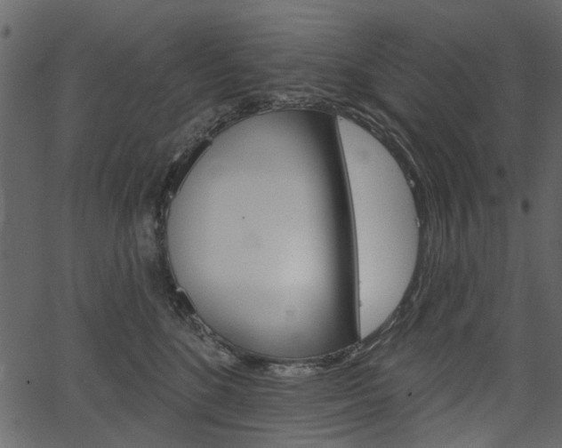 X0000067390520200603310959