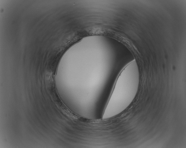 X0000067390521200603310958