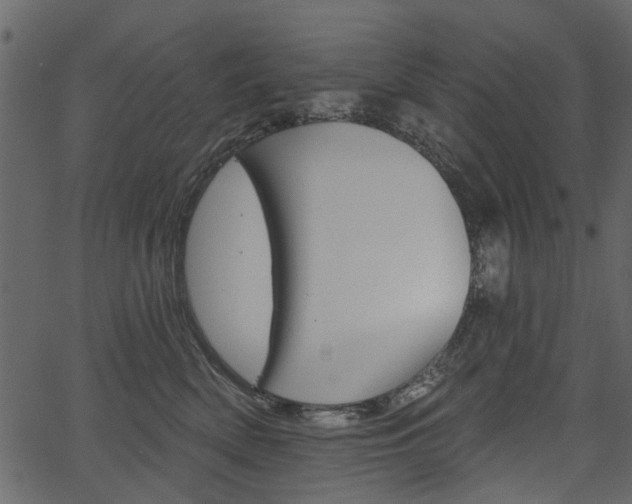 X0000067390522200603310958