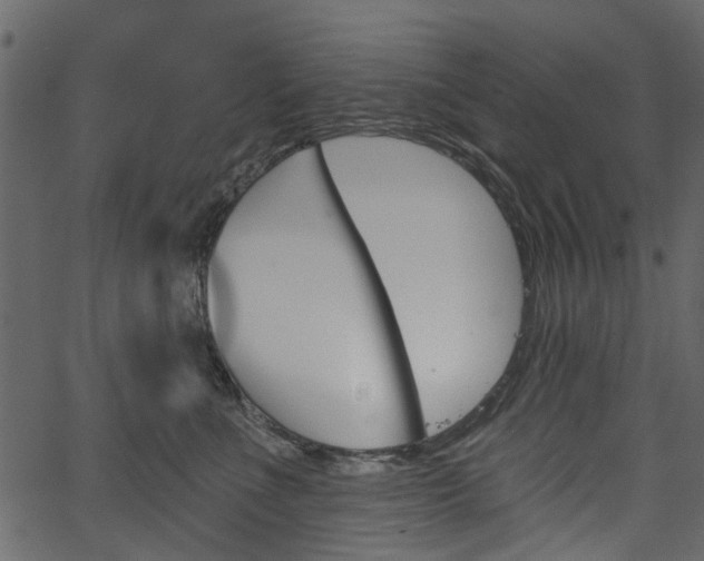 X0000067390523200603310958