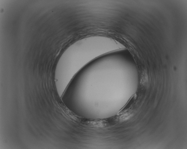 X0000067390524200603310958