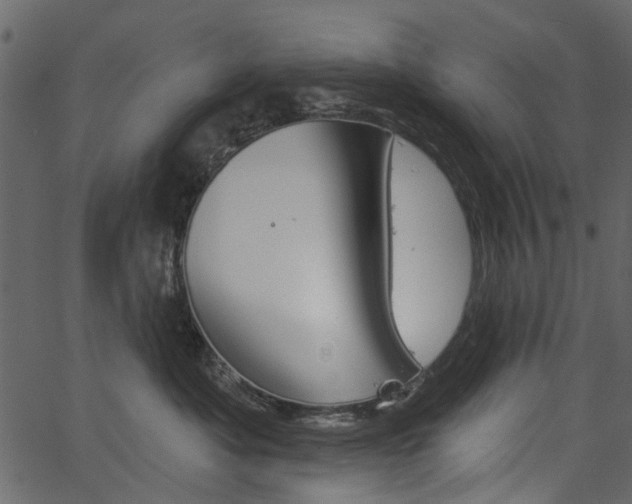 X0000067390525200603310958