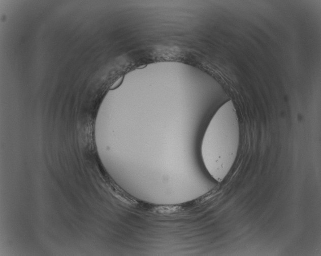 X0000067390526200603310958