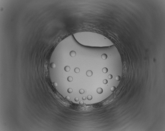 X0000067390527200603310958