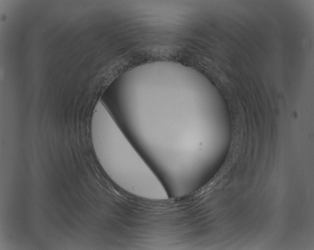 X0000067390528200603310958