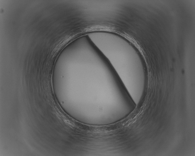 X0000067390529200603310958