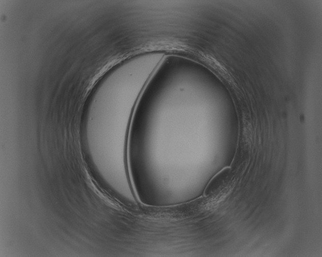 X0000067390530200603310958