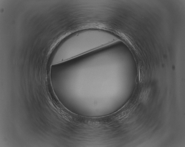 X0000067390531200603310958