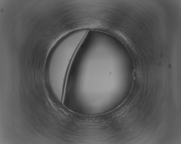 X0000067390532200603310958