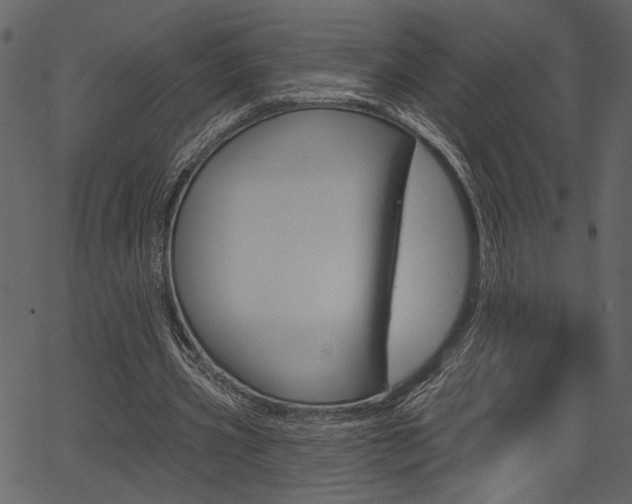 X0000067390533200603310958