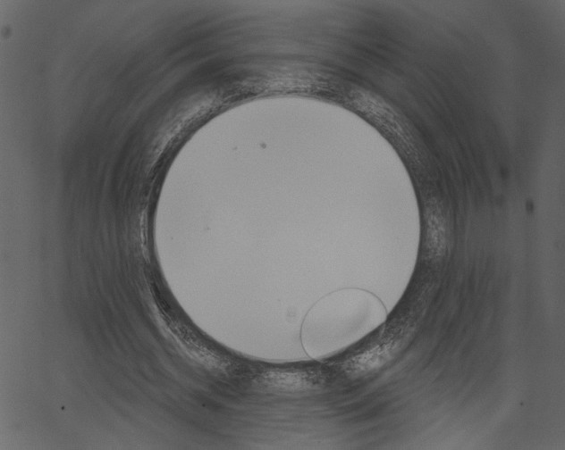 X0000067390534200603310958