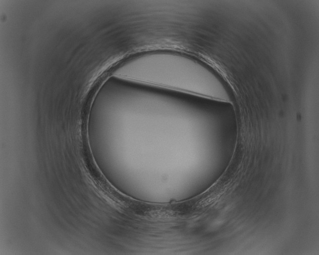 X0000067390535200603310958