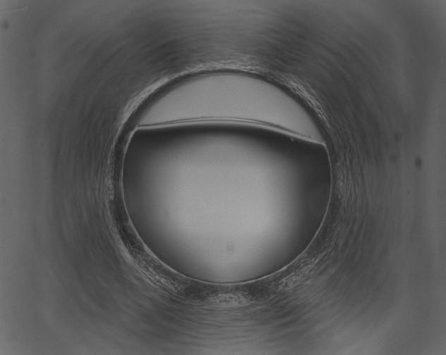 X0000067390536200603310958