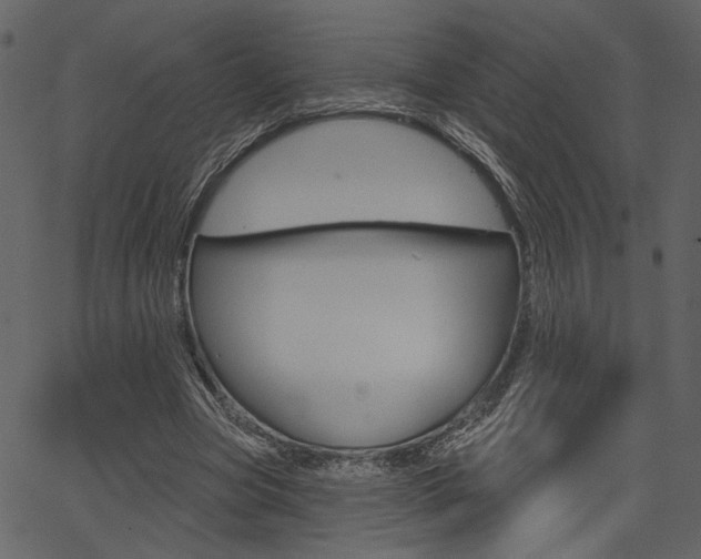 X0000067390537200603310958