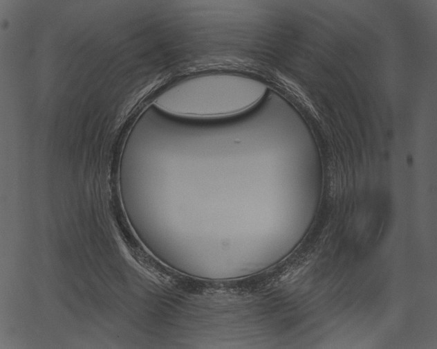 X0000067390538200603310958