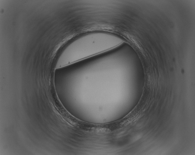 X0000067390539200603310958