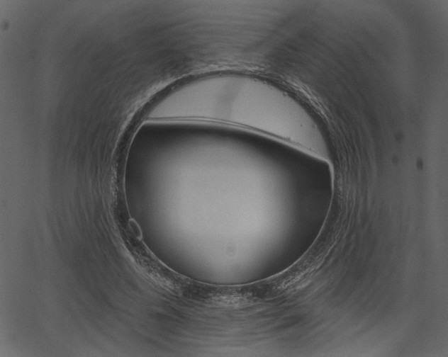 X0000067390540200603310958