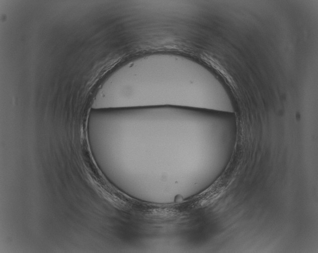 X0000067390541200603310958