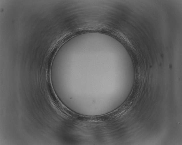 X0000067390542200603310958