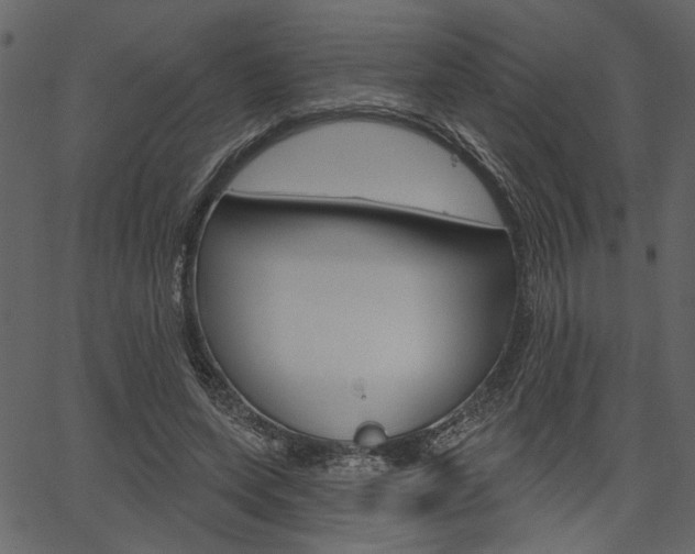 X0000067390543200603310958