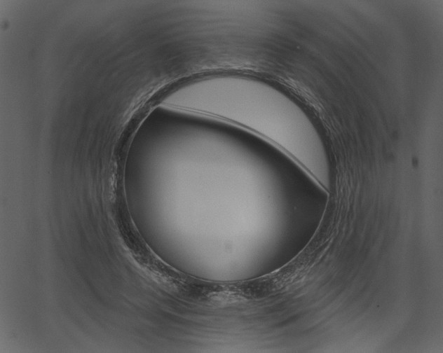 X0000067390544200603310958