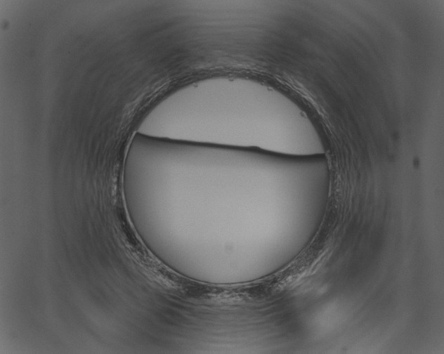 X0000067390545200603310958