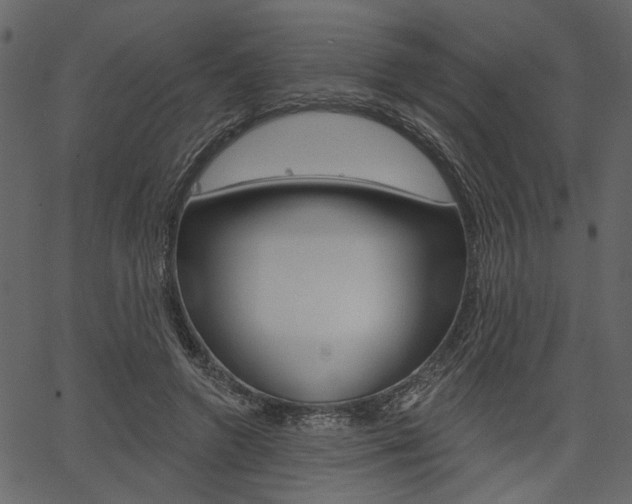 X0000067390546200603310958