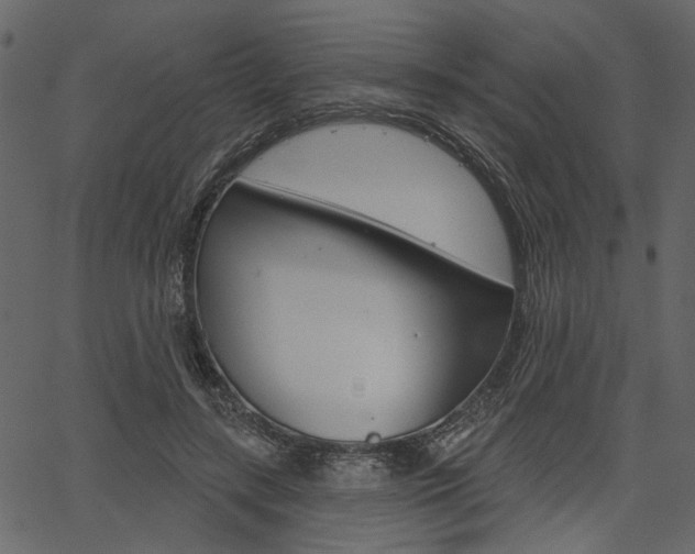 X0000067390547200603310958