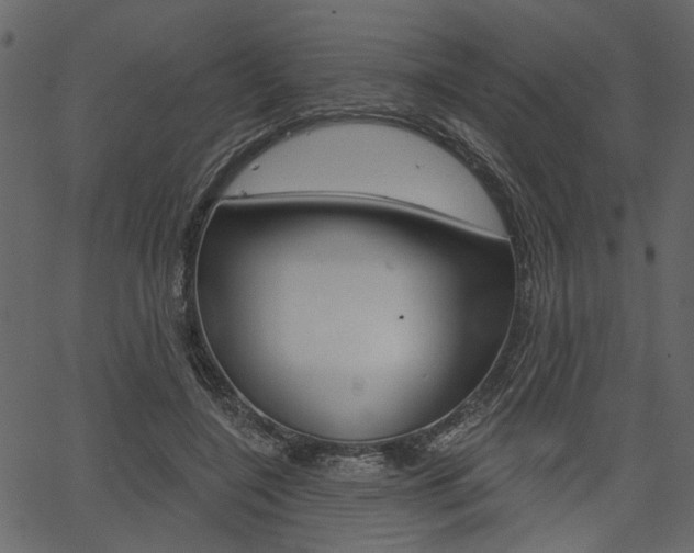 X0000067390548200603310958