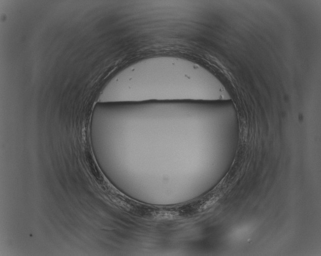 X0000067390549200603310958