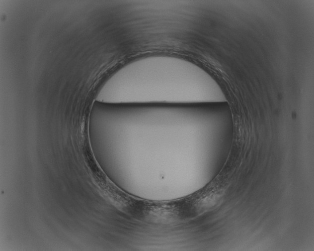 X0000067390550200603310958