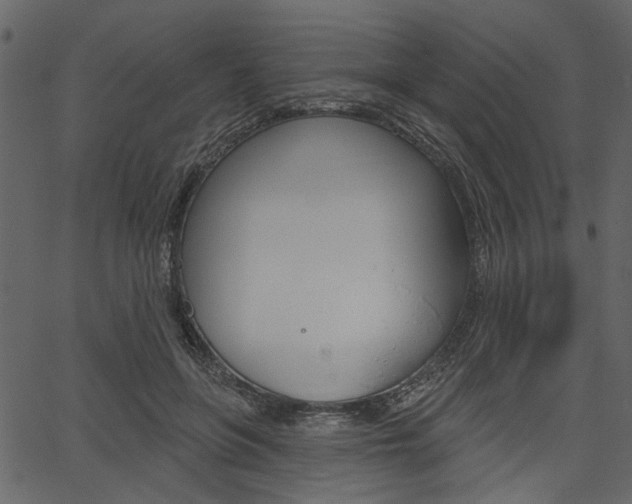 X0000067390551200603310958