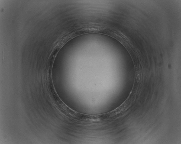 X0000067390552200603310958