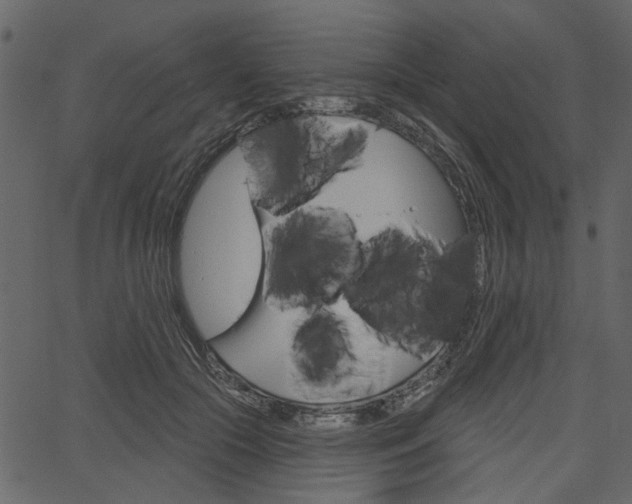 X0000067390553200603310958