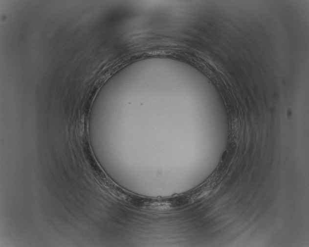 X0000067390554200603310958